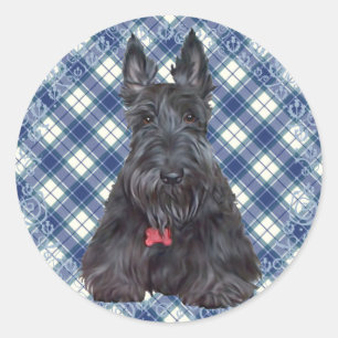 Adesivo Terrier escocês em Tartan