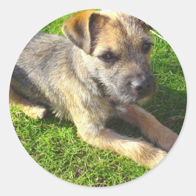 Adesivo Terrier Puppy Sticker (Frente)