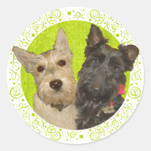 Adesivo Terriers Escoceses Trigo e Preto