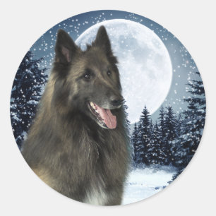 Adesivo Tervuren Sticker Belga