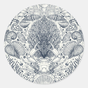 Adesivo Tesouros de praia, conchas marinhas, caranguejo, c