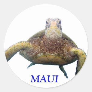 Adesivo Testa de Tartaruga, MAUI