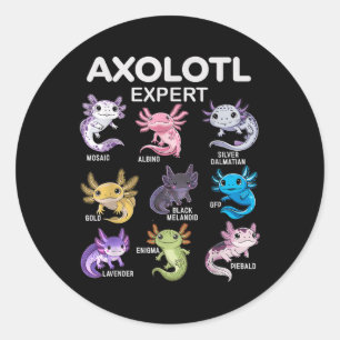 Adesivo Teto Axolotl Cute Para Meninos &amp; Raparigas Ou 