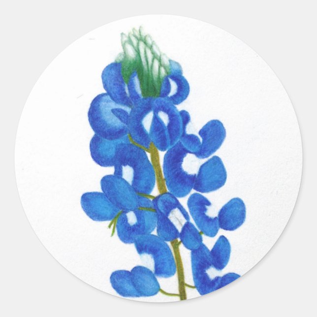 Adesivo Texas Bluebonnet Sticker (Frente)