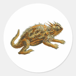 Adesivo Texas Horned Lizard