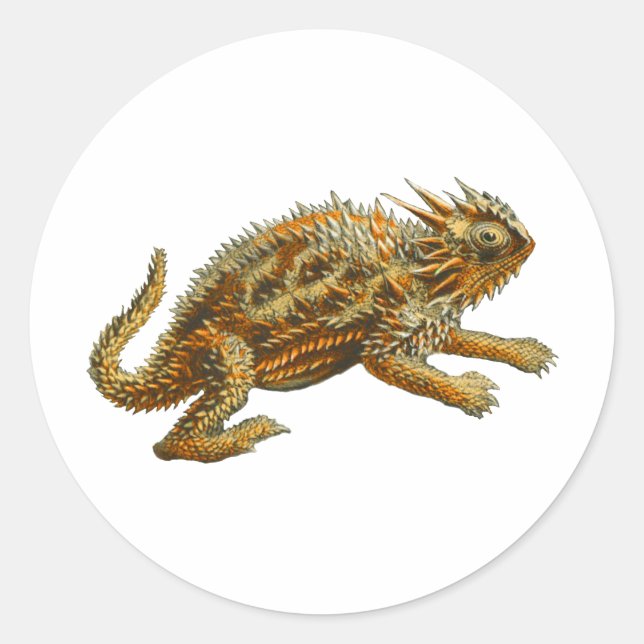 Adesivo Texas Horned Lizard (Frente)