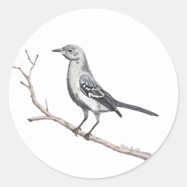 Adesivo Texas Mockingbird Sticker (Frente)