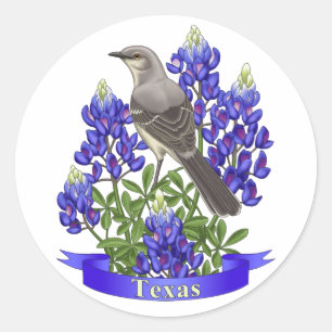Adesivo Texas State Mockingbird & Bluebonnet Flower
