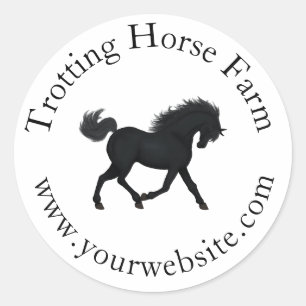 Adesivo Texto Circular Trotando Cavalo Negro Equestre