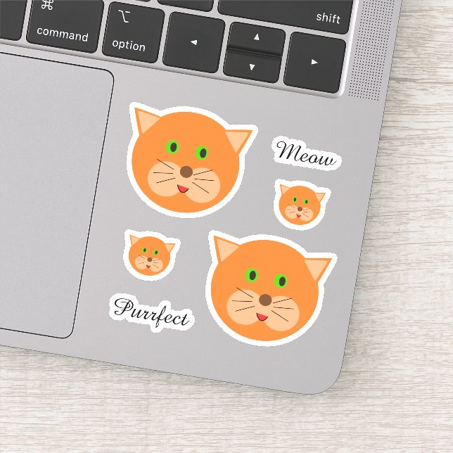 Adesivo Texto e Rosto de Gato Laranja-Cinto (Detalhe)