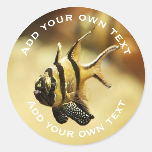 Adesivo Texto Personalizado Submarino de Stripy Angelfish  (Frente)