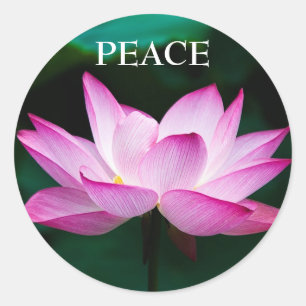 Adesivo Texto Personalizado Zen Pink Lotus Flower Peace St