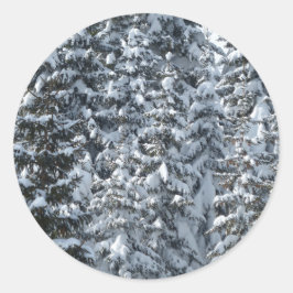 Adesivo Textura de árvore de abertura de neve