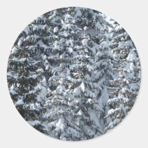 Adesivo Textura de árvore de abertura de neve