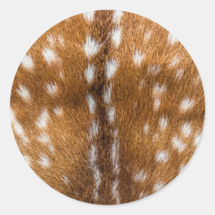 Adesivo Textura manchada da pele dos cervos