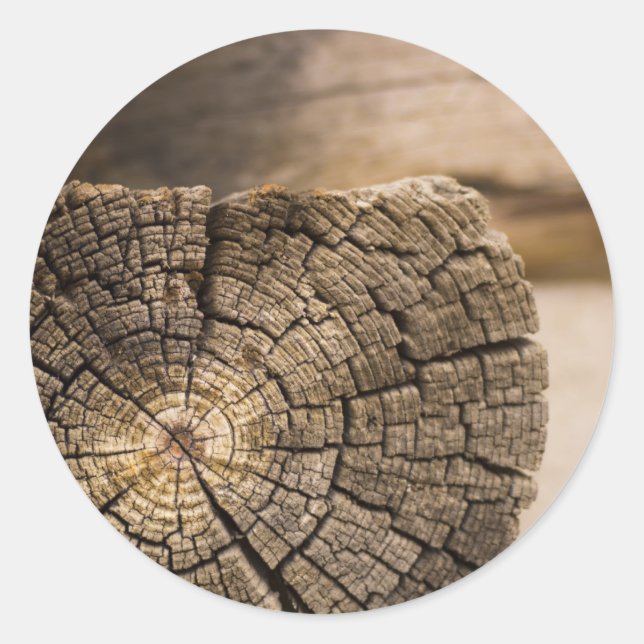 Adesivo Texturas de Cabina Antigas (Frente)