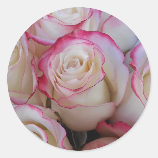 Adesivo Thamar (Frente)