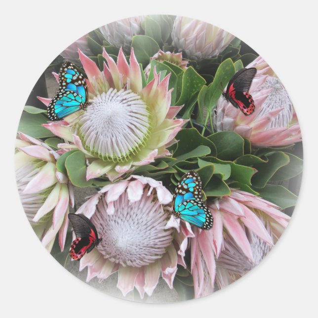 Adesivo The King Protea  (Frente)