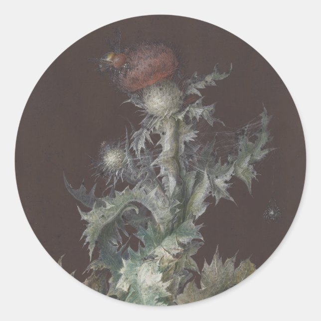 Adesivo Thistle com os Insetos 1755 Johann C. Dietzsch (Frente)