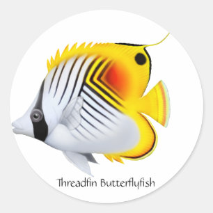 Adesivo Threadfin Auriga Borboleta Peixe Personalizável