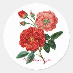 Adesivo Thunder_Cove da Ilustração de Rosa vermelha de V