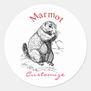 Adesivo Thunder_Cove de Animais Marmotes