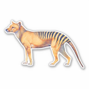 Adesivo Thylacine (tigre tasmaniano)