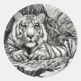 Adesivo TIGER BRANCO por Diana S Martin