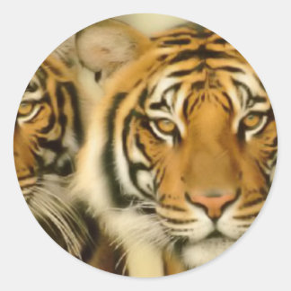 Adesivo Tiger Eyes