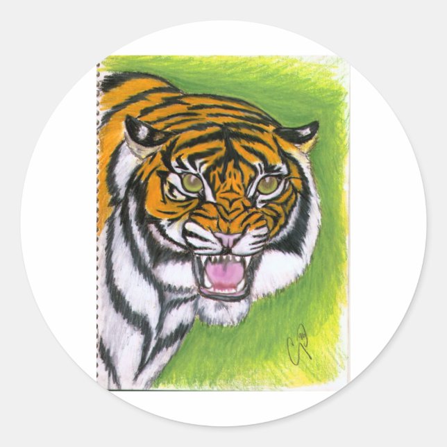 Adesivo Tigre (Frente)