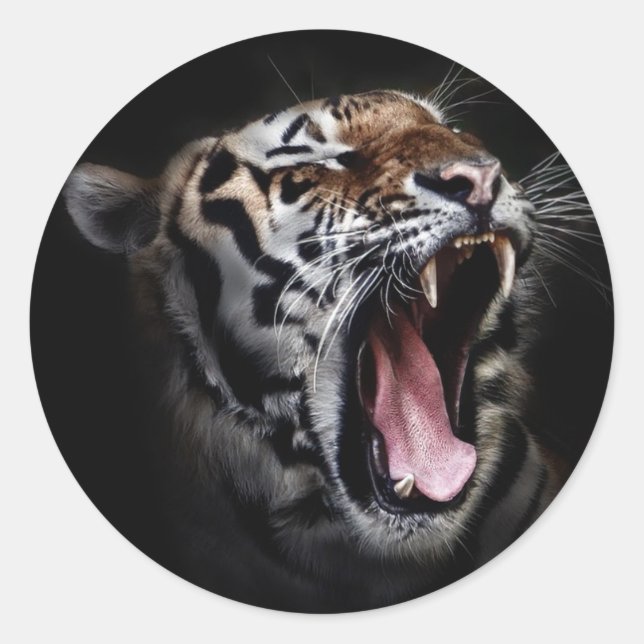 Adesivo Tigre (Frente)