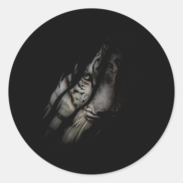 Adesivo Tigre Branco Rosto Rasgado Garra Selvagem Safari A (Frente)