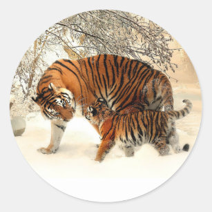 Adesivo Tigre e Cub, cena de inverno,