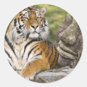 Adesivo Tigre e Templo Budista
