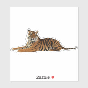 Adesivo Tigre em Reposição