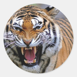 Adesivo Tigre Raiva