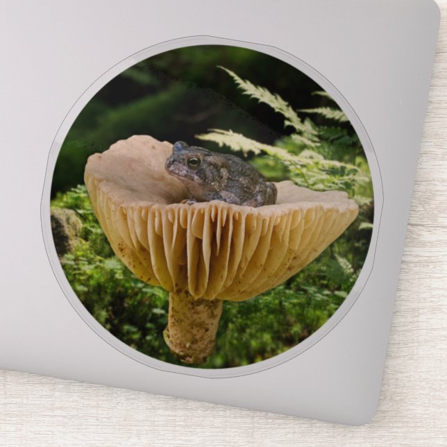 Adesivo Tiny Toad on a Mini Mushroom with Ferns (Detalhe)