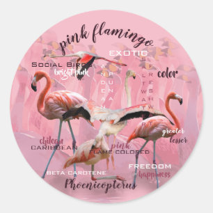 Adesivo Tipografia cor-de-rosa do flamingo personalizado