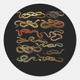 Adesivo Tipos de Cobras Herpetólogos