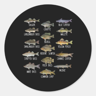 Adesivo Tipos De Espécies De Peixes De Água Doce Biologia