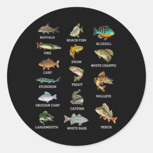 Adesivo Tipos de Espécies de Peixes de Água Doce Pesca Pes