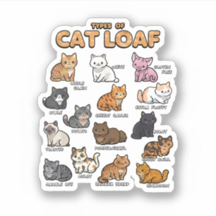 Adesivo Tipos de Gato Enrolado Adorável Gatinho Kawaii Gat