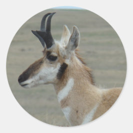 Adesivo Tiro de Perfil da Cabeça de Antilope A29