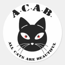 Todos Os Gatos São Bonitos