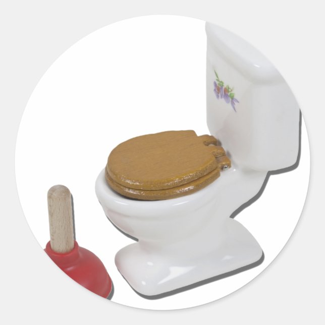 Adesivo ToiletLargePlunger051411 (Frente)