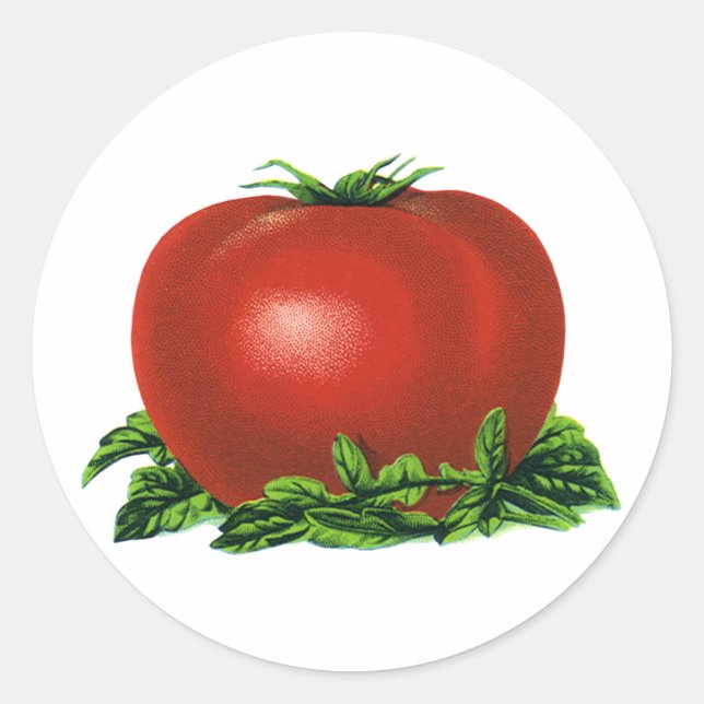 Adesivo Tomate Vermelho Maduro Vintage, Legumes e Frutas (Frente)