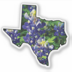 Adesivo Tópicos do Estado do Texas com Bluebonnets
