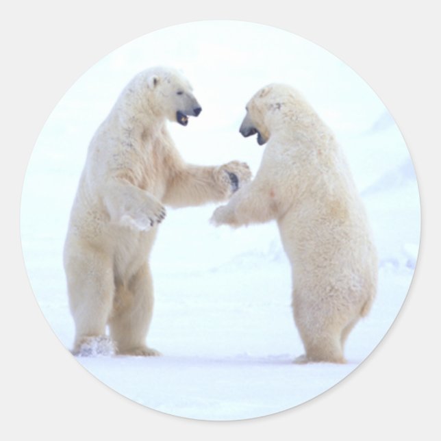 Adesivo Toque de Urso Polar (Frente)