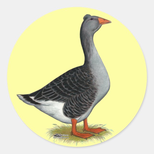 Adesivo Toulouse Goose Tufted (Frente)