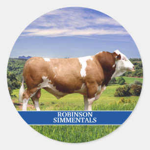 Adesivo Touro Simmental em Pastura
